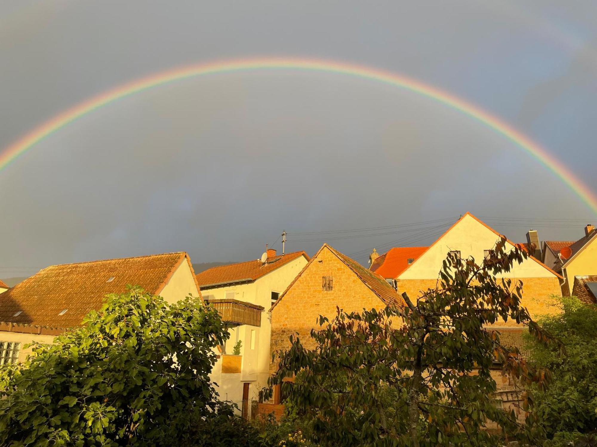 Pfalz-Dorfhaus Burrweiler Luaran gambar