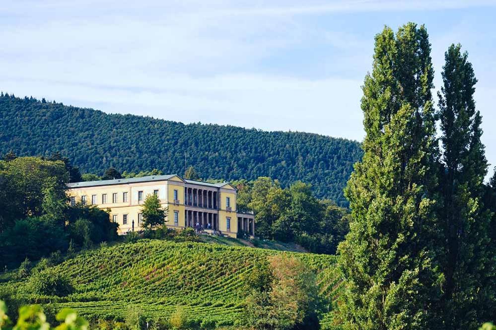 Pfalz-Dorfhaus Burrweiler Luaran gambar